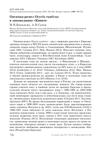 Овсянка-ремез Ocyris rusticus в заповеднике «Кивач»