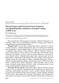 Интересные орнитологические встречи на правобережье нижнего течения Свири в 2016 году