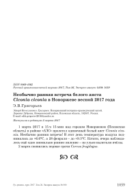 Необычно ранняя встреча белого аиста Ciconia ciconia в Новоржеве весной 2017 года