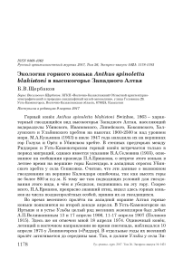 Экология горного конька Anthus spinoletta blakistoni в высокогорье Западного Алтая