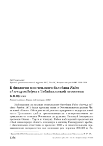 К биологии монгольского балобана Falco cherrug milvipes в Забайкальской лесостепи