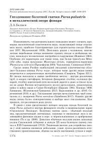 Гнездование болотной гаички Parus palustris в металлической опоре фонаря