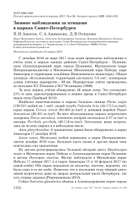 Зимние наблюдения за птицами в парках Санкт-Петербурга