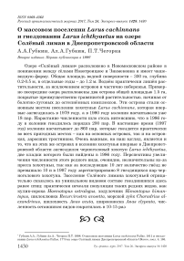 О массовом поселении Larus cachinnans и гнездовании Larus ichthyaetus на озере Солёный Лиман в Днепропетровской области