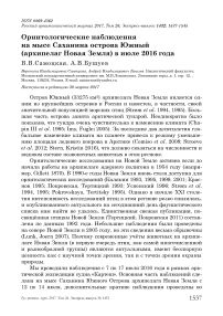 Орнитологические наблюдения на мысе Саханина острова Южный (архипелаг Новая Земля) в июле 2016 года