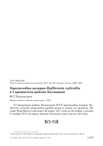 Краснозобая казарка Rufibrenta ruficollis в Сарпинском районе Калмыкии