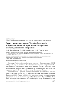 Регистрация колпицы Platalea leucorodia в Чуйской долине Киргизской Республики в период весенней миграции