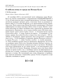 О гибели птиц от града на Иссык-Куле