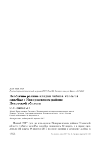 Необычно ранние кладки чибиса Vanellus vanellus в Новоржевском районе Псковской области