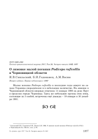 О зимовке малой поганки Podiceps ruficollis в Черновицкой области