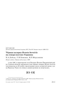 Чёрная казарка Branta bernicla на северо-востоке Украины