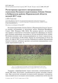 Регистрация крупного миграционного скопления большого веретенника Limosa limosa в Бобровском районе Воронежской области весной 2017 года