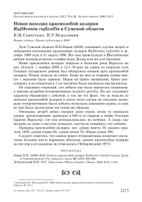 Новая находка краснозобой казарки Rufibrenta ruficollis в Сумской области