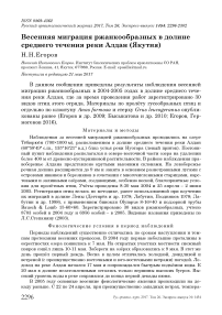 Весенняя миграция ржанкообразных в долине среднего течения реки Алдан (Якутия)