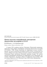 Новая находка чернобровой зонотрихии Zonotrichia atricapilla в СССР