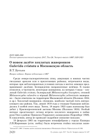 О новом залёте хохлатых жаворонков Galerida cristata в Московскую область