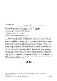 Залёт бормотушки Hippolais caligata на северо-восток Украины