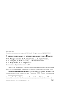 О находках новых и редких видов птиц в Крыму