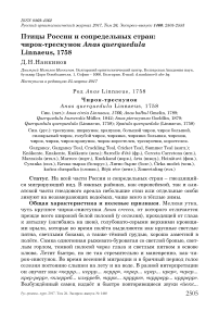 Птицы России и сопредельных стран: чирок-трескунок Anas querquedula linnaeus, 1758