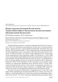 Новая находка большой белой цапли Casmerodius albus в Казахском мелкосопочнике (Центральный Казахстан)