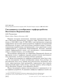 Гнездящиеся гусеобразные торфоразработок Восточного Верхневолжья