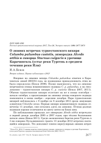 О зимних встречах туркестанского вяхиря Columba palumbus casiotis, зимородка Alcedo atthis и скворца Sturnus vulgaris в урочище Карачингиль (устье реки Тургень в среднем течении реки Или)