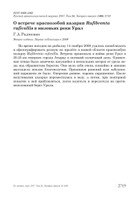 О встрече краснозобой казарки Rufibrenta ruficollis в низовьях реки Урал