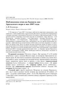 Наблюдения птиц на бывшем дне Аральского моря в мае 2007 года