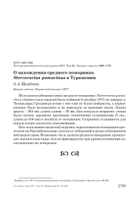 О нахождении среднего поморника Stercorarius pomarinus в Туркмении