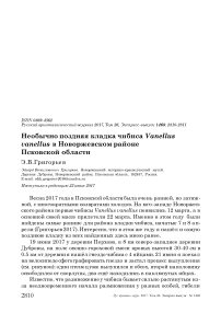 Необычно поздняя кладка чибиса Vanellus vanellus в Новоржевском районе Псковской области