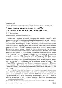 О гнездовании коноплянки Acanthis cannabina в окрестностях Новосибирска