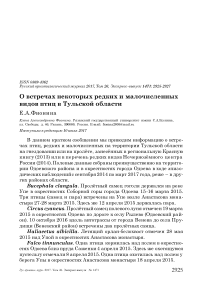 О встречах некоторых редких и малочисленных видов птиц в Тульской области