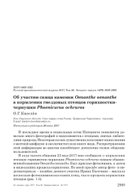 Об участии самца каменки Oenanthe oenanthe в кормлении гнездовых птенцов горихвостки-чернушки Phoenicurus ochruros