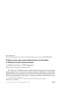 К биологии хрустана Eudromias morinellus в Байкальском заповеднике