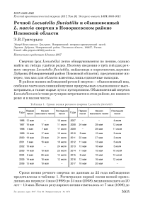 Речной Locustella fluviatilis и обыкновенный L. naevia сверчки в Новоржевском районе Псковской области