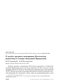 О залёте среднего поморника Stercorarius pomarinus в Северо-Западный Прикаспий