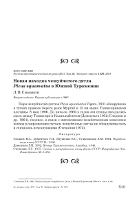 Новая находка чешуйчатого дятла Picus squamatus в Южной Туркмении