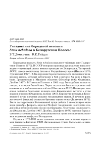 Гнездование бородатой неясыти Strix nebulosa в Белорусском Полесье