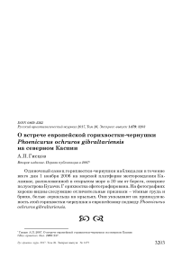 О встрече европейской горихвостки-чернушки Phoenicurus ochruros gibraltariensis на северном Каспии