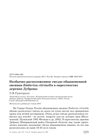 Необычно расположенное гнездо обыкновенной овсянки Emberiza citrinella в окрестностях деревни Дубровы