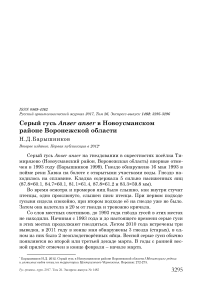 Серый гусь Anser anser в Новоусманском районе Воронежской области