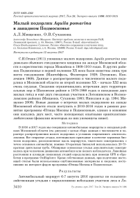 Малый подорлик Aquila pomarina в западном Подмосковье