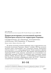 Первая регистрация толстоклювой пеночки Phylloscopus schwarzi на территории Украины