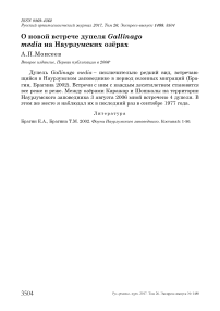 О новой встрече дупеля Gallinago media на Наурзумских озёрах