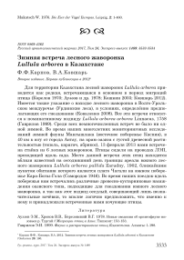 Зимняя встреча лесного жаворонка Lullula arborea в Казахстане