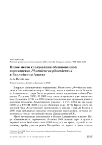 Новое место гнездования обыкновенной горихвостки Phoenicurus phoenicurus в Заилийском Алатау