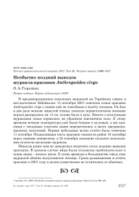 Необычно поздний выводок журавля-красавки Anthropoides virgo