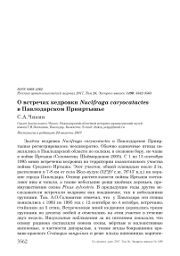 О встречах кедровки Nucifraga caryocatactes в Павлодарском Прииртышье