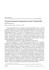 О казахстанских жаворонках рода Calandrella