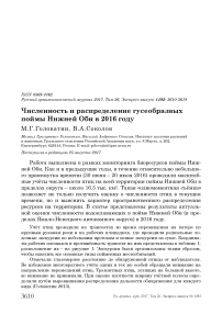 Численность и распределение гусеобразных поймы Нижней Оби в 2016 году